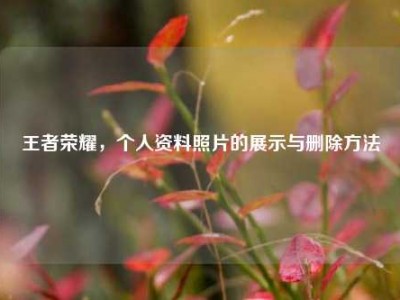 王者荣耀，个人资料照片的展示与删除方法