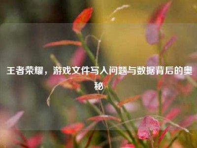 王者荣耀，游戏文件写入问题与数据背后的奥秘