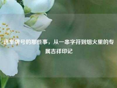 选车牌号的那些事，从一串字符到烟火里的专属吉祥印记