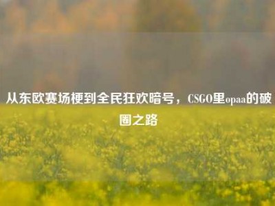 从东欧赛场梗到全民狂欢暗号，CSGO里opaa的破圈之路