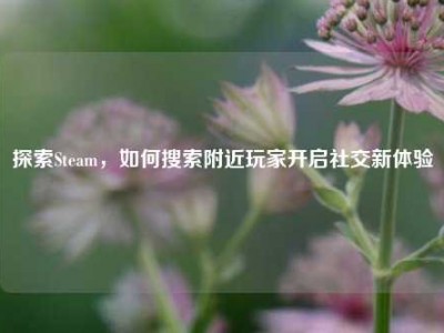 探索Steam，如何搜索附近玩家开启社交新体验