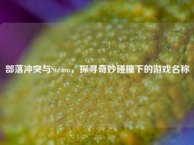 部落冲突与Steam，探寻奇妙碰撞下的游戏名称