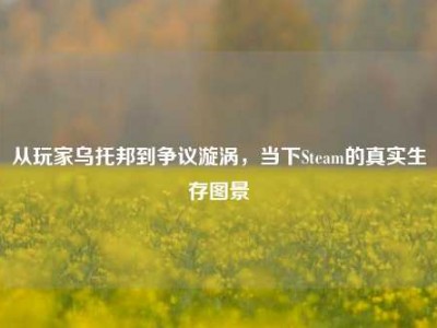 从玩家乌托邦到争议漩涡，当下Steam的真实生存图景
