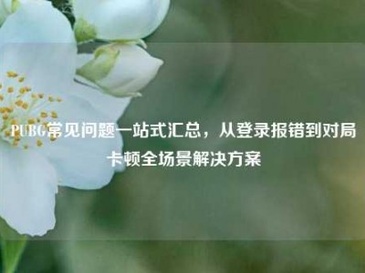 PUBG常见问题一站式汇总，从登录报错到对局卡顿全场景解决方案