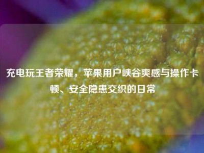 充电玩王者荣耀，苹果用户峡谷爽感与操作卡顿、安全隐患交织的日常