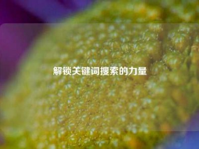 解锁关键词搜索的力量