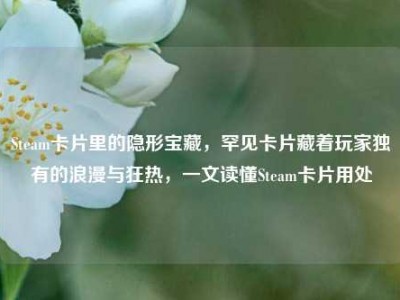 Steam卡片里的隐形宝藏，罕见卡片藏着玩家独有的浪漫与狂热，一文读懂Steam卡片用处