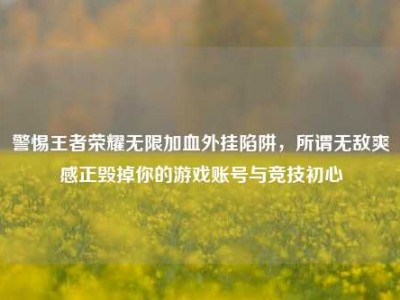 警惕王者荣耀无限加血外挂陷阱，所谓无敌爽感正毁掉你的游戏账号与竞技初心