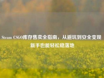 Steam CSGO库存售卖全指南，从避坑到安全变现 新手也能轻松稳落地