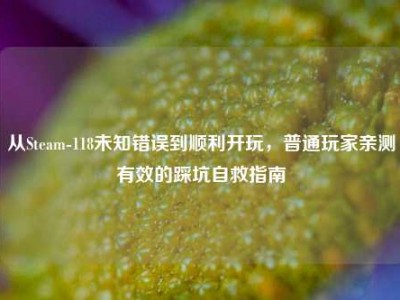 从Steam-118未知错误到顺利开玩，普通玩家亲测有效的踩坑自救指南