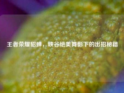 王者荣耀貂蝉，峡谷绝美舞影下的出招秘籍