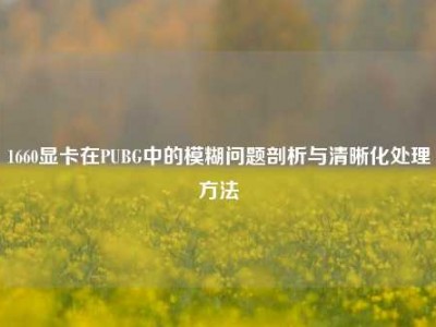1660显卡在PUBG中的模糊问题剖析与清晰化处理方法