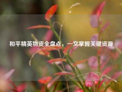 和平精英物资全盘点，一文掌握关键资源