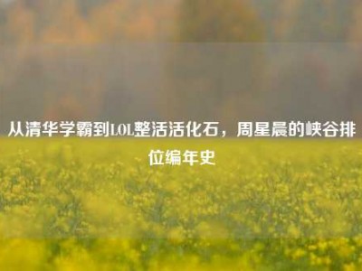 从清华学霸到LOL整活活化石，周星晨的峡谷排位编年史