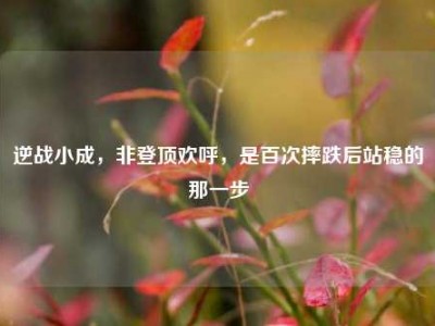 逆战小成，非登顶欢呼，是百次摔跌后站稳的那一步