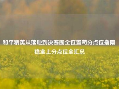 和平精英从落地到决赛圈全位置苟分点位指南 稳拿上分点位全汇总