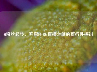 0粉丝起步，开启PUBG直播之旅的可行性探讨