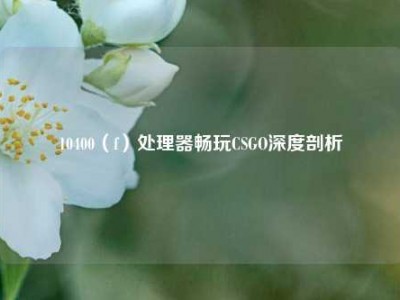 10400（f）处理器畅玩CSGO深度剖析