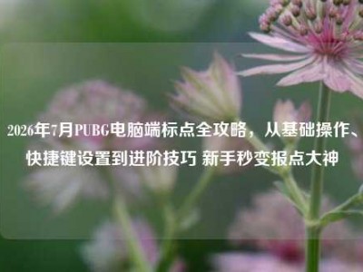 2026年7月PUBG电脑端标点全攻略，从基础操作、快捷键设置到进阶技巧 新手秒变报点大神