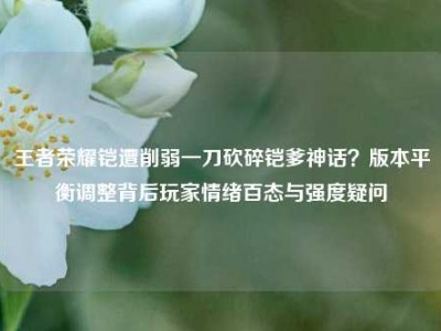 王者荣耀铠遭削弱一刀砍碎铠爹神话？版本平衡调整背后玩家情绪百态与强度疑问