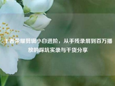 王者荣耀剪辑小白进阶，从手残录屏到百万播放的踩坑实录与干货分享