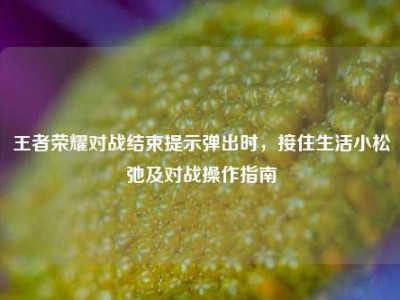 王者荣耀对战结束提示弹出时，接住生活小松弛及对战操作指南