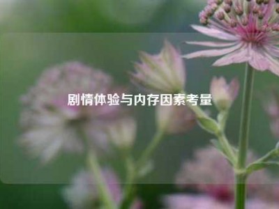 剧情体验与内存因素考量