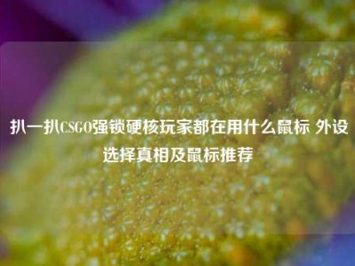 扒一扒CSGO强锁硬核玩家都在用什么鼠标 外设选择真相及鼠标推荐