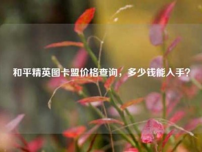 和平精英图卡盟价格查询，多少钱能入手？