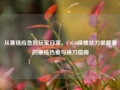 从赛场应急到玩家日常，CSGO换螺丝刀里藏着的硬核热爱与换刀指南