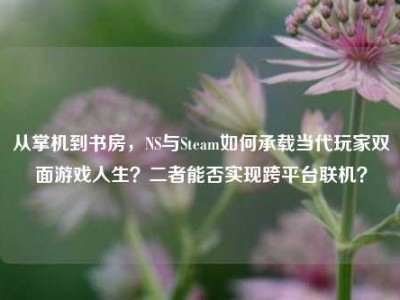 从掌机到书房，NS与Steam如何承载当代玩家双面游戏人生？二者能否实现跨平台联机？