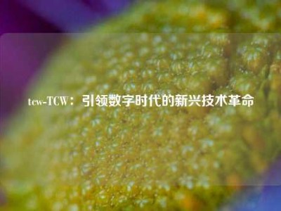 tcw-TCW：引领数字时代的新兴技术革命