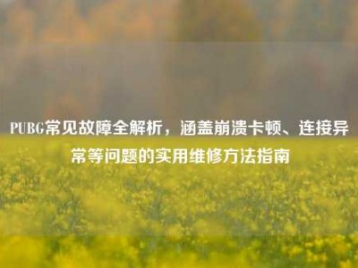 PUBG常见故障全解析，涵盖崩溃卡顿、连接异常等问题的实用维修方法指南