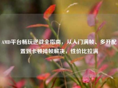 AMD平台畅玩逆战全指南，从入门满帧、多开配置到卡顿掉帧解决，性价比拉满