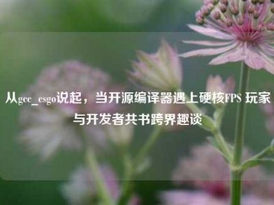 从gcc_csgo说起，当开源编译器遇上硬核FPS 玩家与开发者共书跨界趣谈