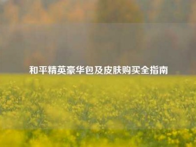 和平精英豪华包及皮肤购买全指南