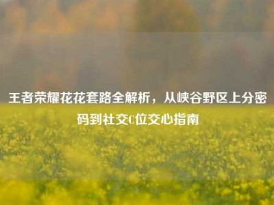 王者荣耀花花套路全解析，从峡谷野区上分密码到社交C位交心指南