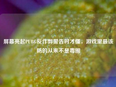 屏幕亮起PUBG反作弊警告时才懂，游戏里最该防的从来不是毒圈