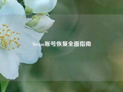 Steam账号恢复全面指南