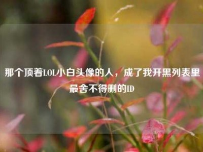 那个顶着LOL小白头像的人，成了我开黑列表里最舍不得删的ID