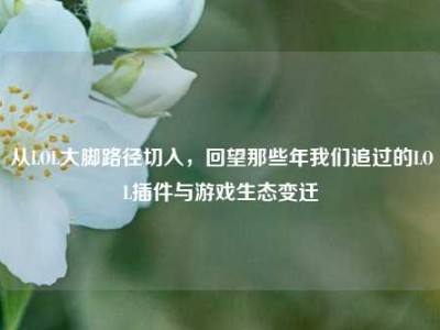 从LOL大脚路径切入，回望那些年我们追过的LOL插件与游戏生态变迁