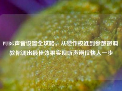 PUBG声音设置全攻略，从硬件校准到参数微调 教你调出最佳效果实现听声辨位快人一步