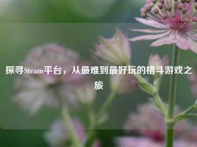 探寻Steam平台，从最难到最好玩的格斗游戏之旅