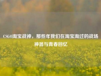 CSGO淘宝战神，那些年我们在淘宝淘过的战场神器与青春回忆
