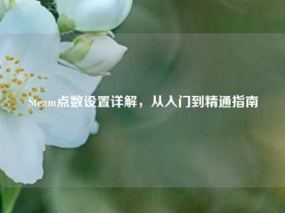 Steam点数设置详解，从入门到精通指南