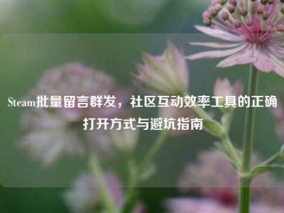 Steam批量留言群发，社区互动效率工具的正确打开方式与避坑指南