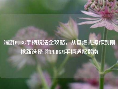 端游PUBG手柄玩法全攻略，从自虐式操作到刚枪新选择 附PUBGM手柄适配指南