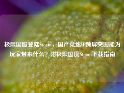极限国服登陆Steam，国产竞速IP跨屏突围能为玩家带来什么？附极限国度Steam下载指南