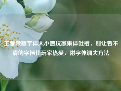 王者荣耀字体太小遭玩家集体吐槽，别让看不清的字挡住玩家热爱，附字体调大方法