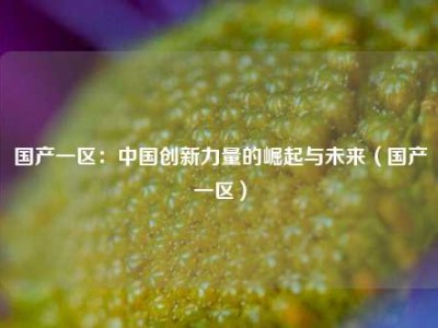 国产一区：中国创新力量的崛起与未来（国产一区）